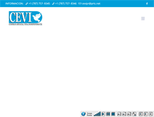 Tablet Screenshot of cevi-pr.org